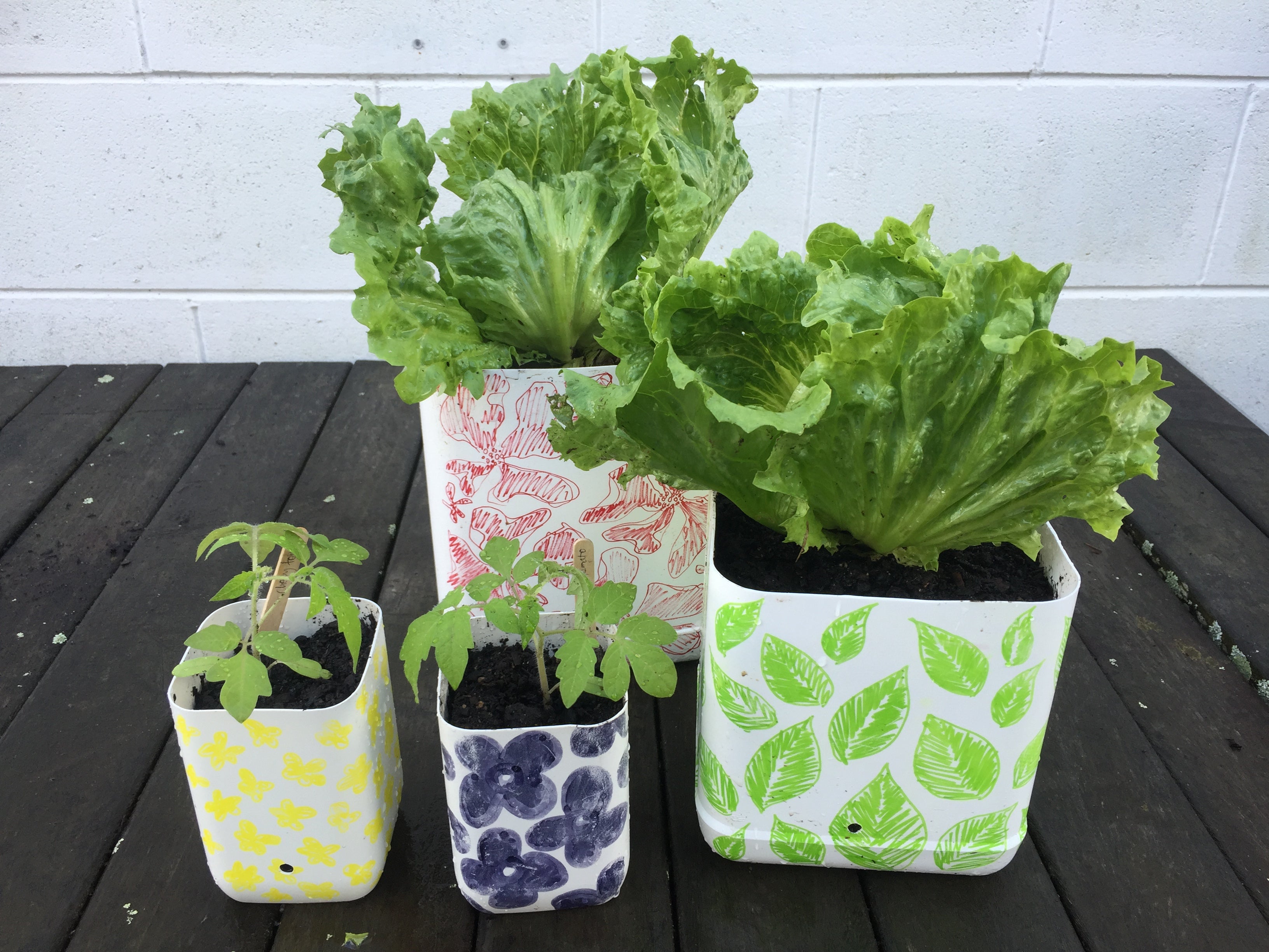 How to grow vegetables in containers