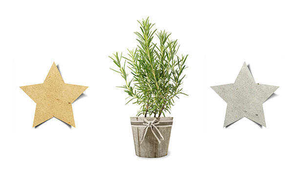 Simple ideas for eco Christmas gifts