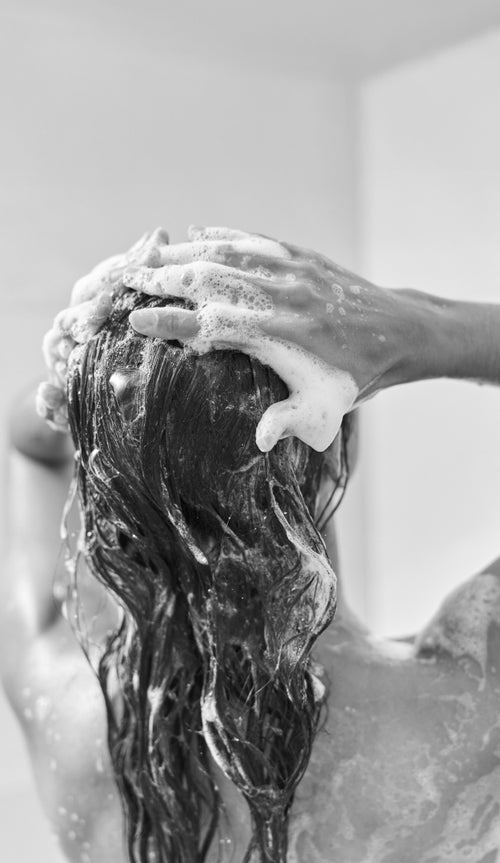 Ecostore | Sustainable Cleaning Products for Your Home & Body