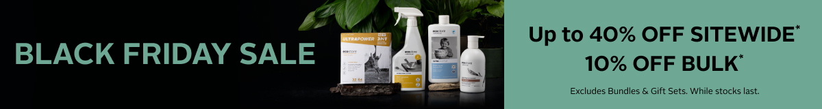 Black Friday Black Friday