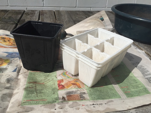 Plastic punnets