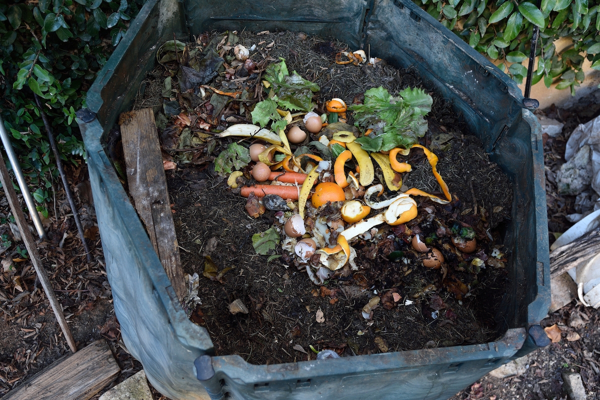 Home Composting 101: Compost Bins