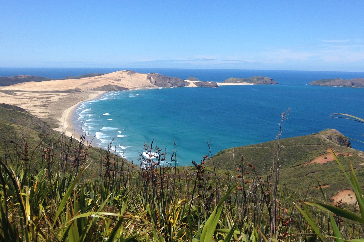 Our favourite New Zealand and Australian beaches