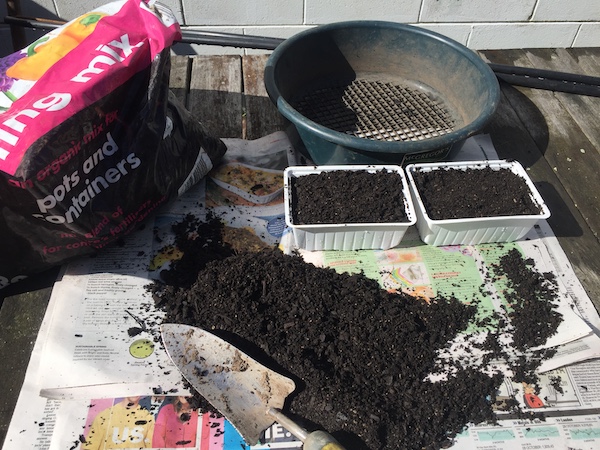 Garden punnets with soil