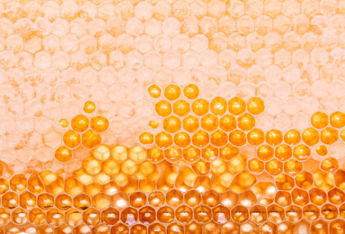 Pure gold: the benefits of Mānuka honey in skincare