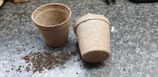 Peat pots